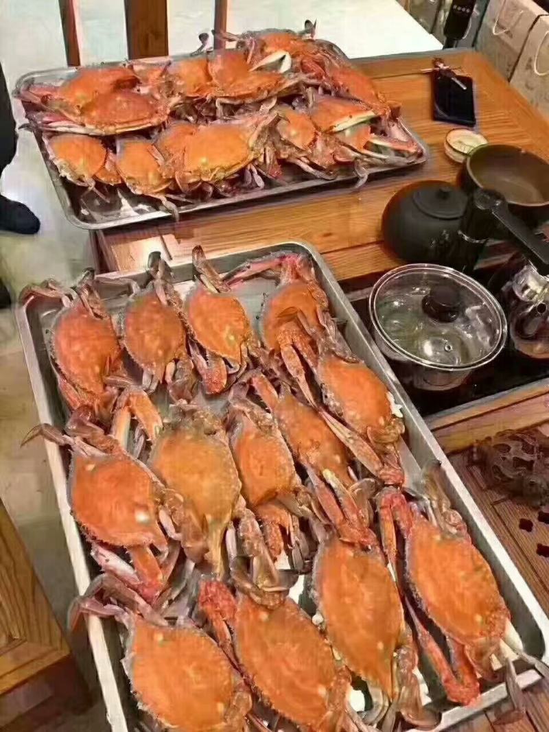 梭子蟹