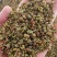 新货大青稞花椒打粉专用味道特香大量供应支持【线上交易】