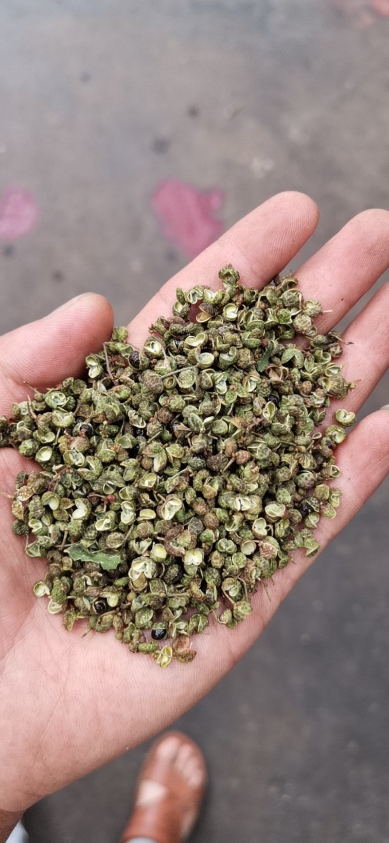 新货大青稞花椒打粉专用味道特香大量供应支持【线上交易】