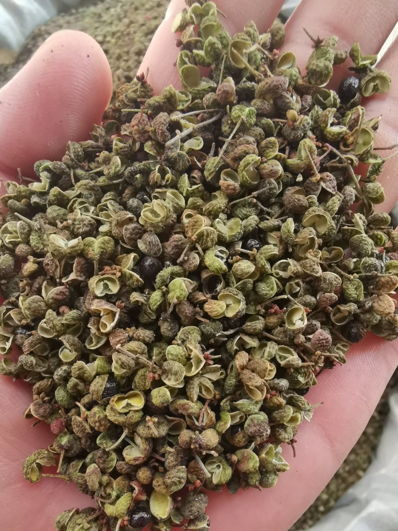 新货大青稞花椒打粉专用味道特香大量供应支持【线上交易】
