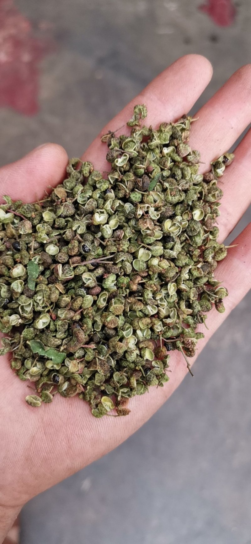 新货大青稞花椒打粉专用味道特香大量供应支持【线上交易】