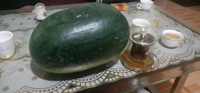 大黑皮熟了