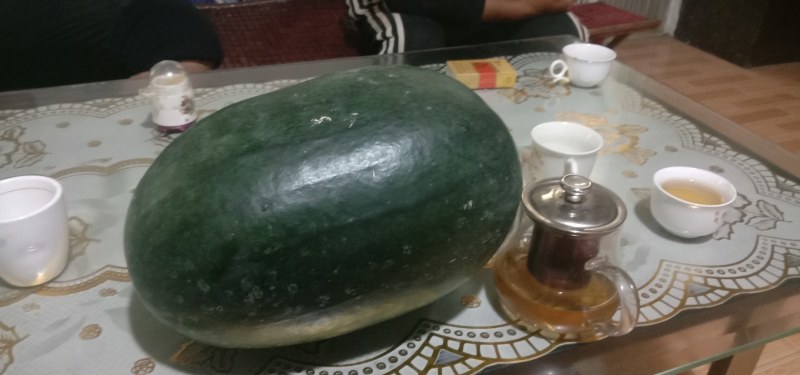大黑皮熟了