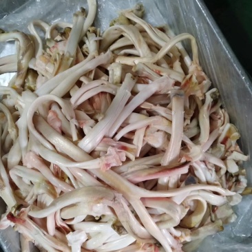 牛蹄筋，牛主筋，人字筋，