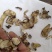 白芨片正品白芨批发1000克支持混批一件代发
