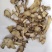 白芨片正品白芨批发1000克支持混批一件代发