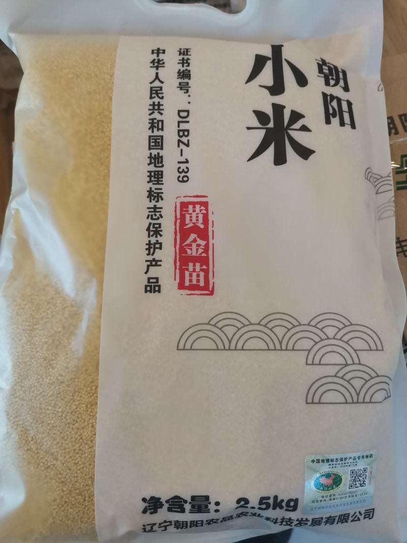 朝阳小米，精品款，家庭装，李佳琦同款