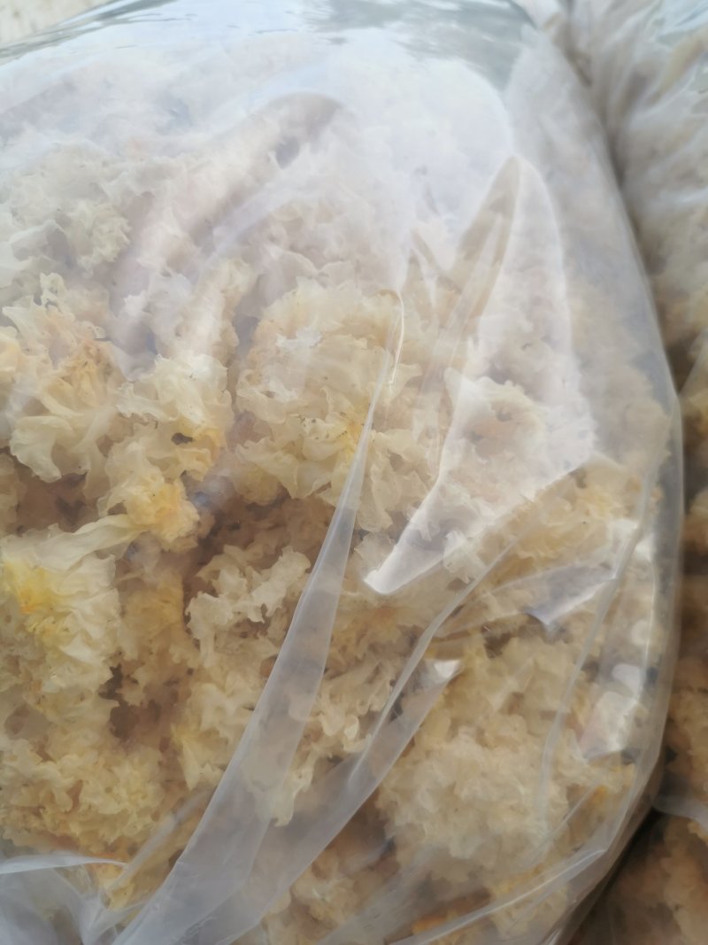 湖北随州无根椴木小银耳出胶率高软糯