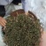 野生黄蒿大别山野生中草药新货河南信阳野生货