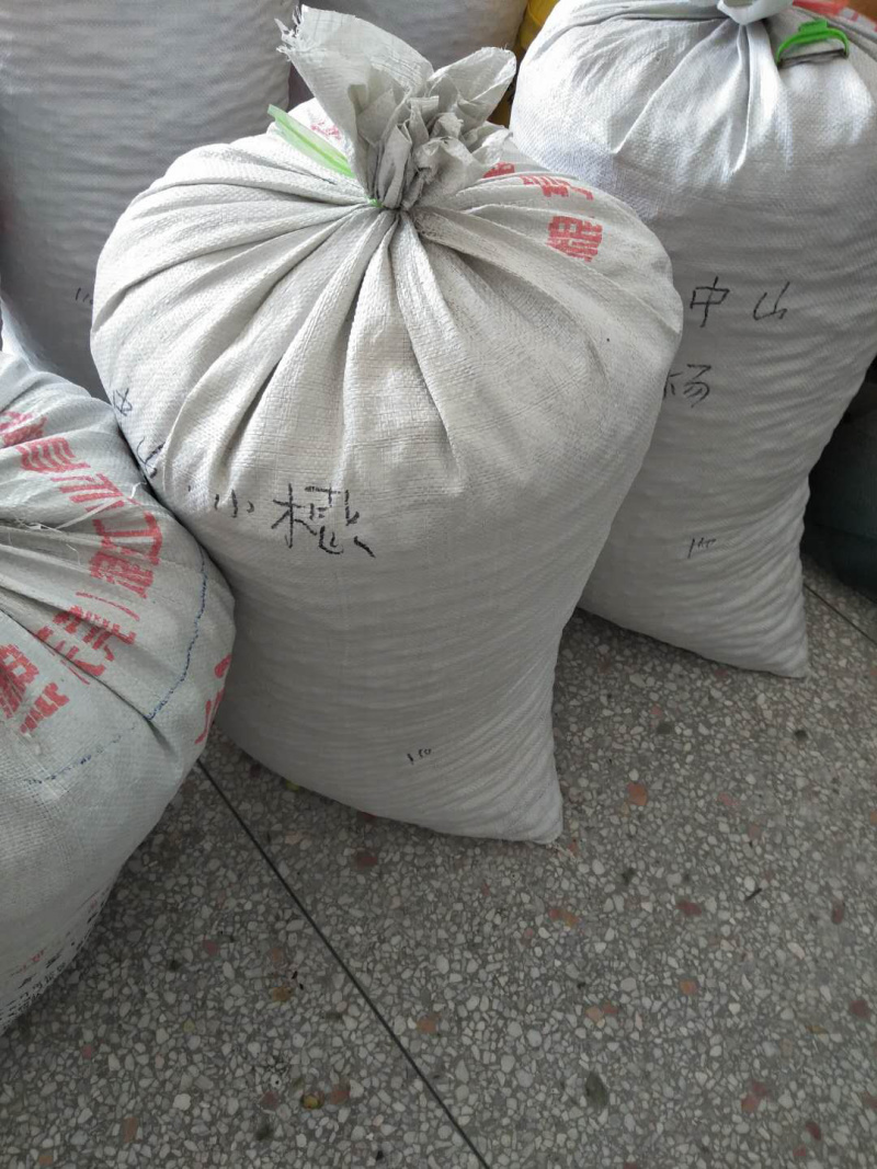 江西莲子，新鲜莲莲子，品质粉糯，个头大，全国可发！