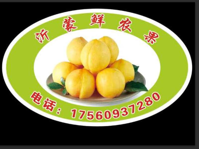 新鲜水蜜桃黄桃新鲜水果孕妇应季水果5斤包邮脆桃坏果包赔