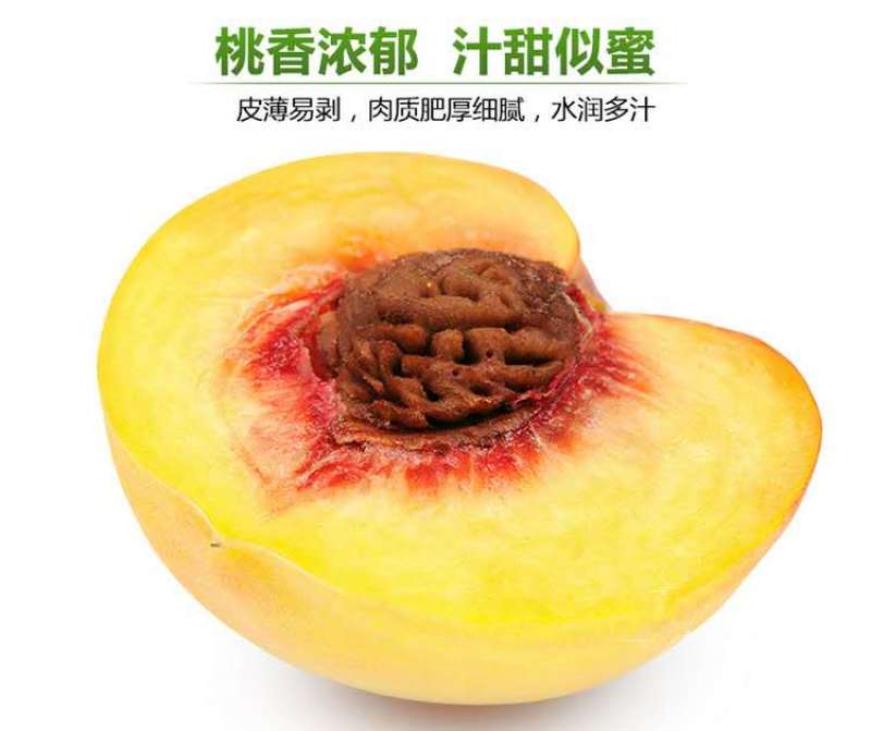 新鲜水蜜桃黄桃新鲜水果孕妇应季水果5斤包邮脆桃坏果包赔