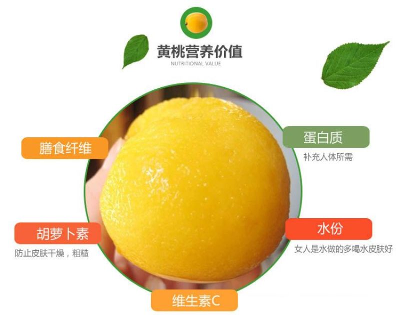 新鲜水蜜桃黄桃新鲜水果孕妇应季水果5斤包邮脆桃坏果包赔