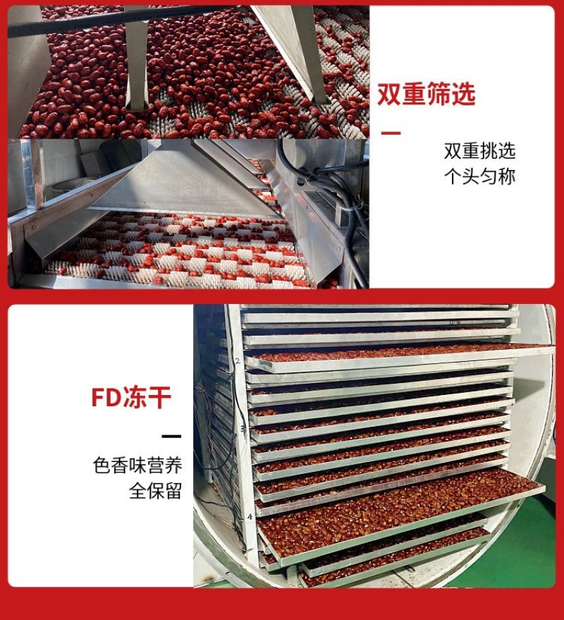 香酥无核新疆红枣20克小包装网红健康无油零食FD冻干脆枣