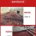 香酥无核新疆红枣20克小包装网红健康无油零食FD冻干脆枣