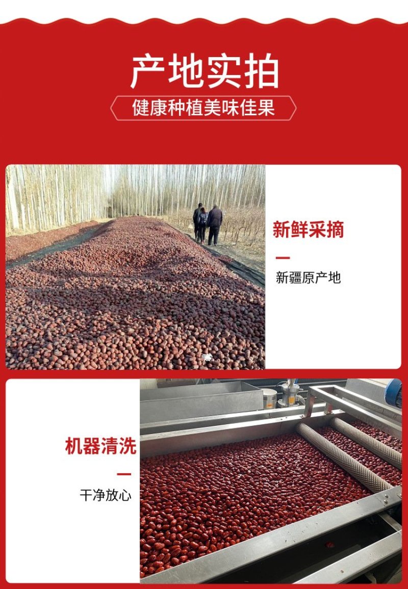 香酥无核新疆红枣20克小包装网红健康无油零食FD冻干脆枣