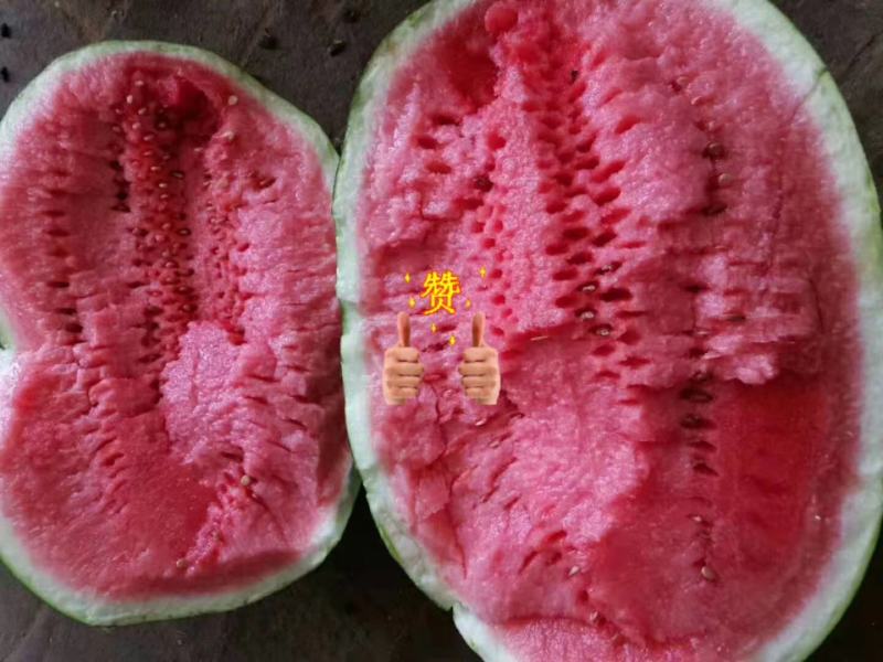忻州小范！卓龙大西瓜.精品货源.本地价格.一手货源充足.