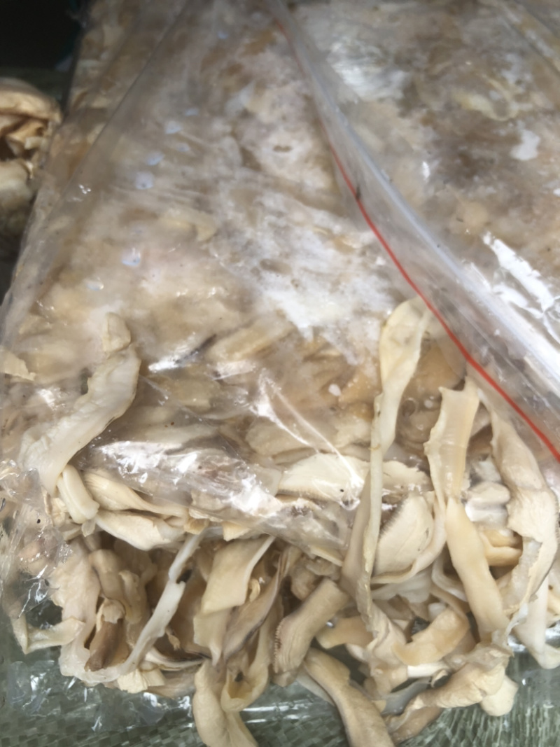 珍珠蚌肉新鲜无臭肉欢迎订购