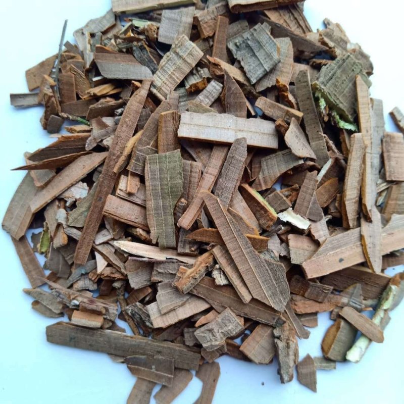 鬼箭羽中药材批发产地直销量大从优