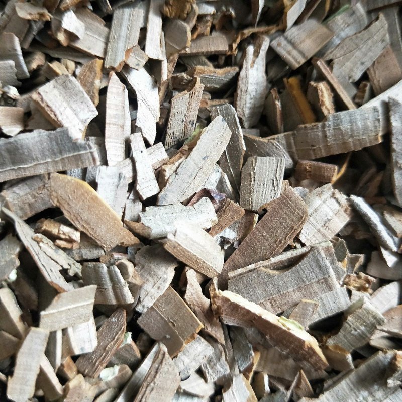 鬼箭羽中药材批发产地直销量大从优