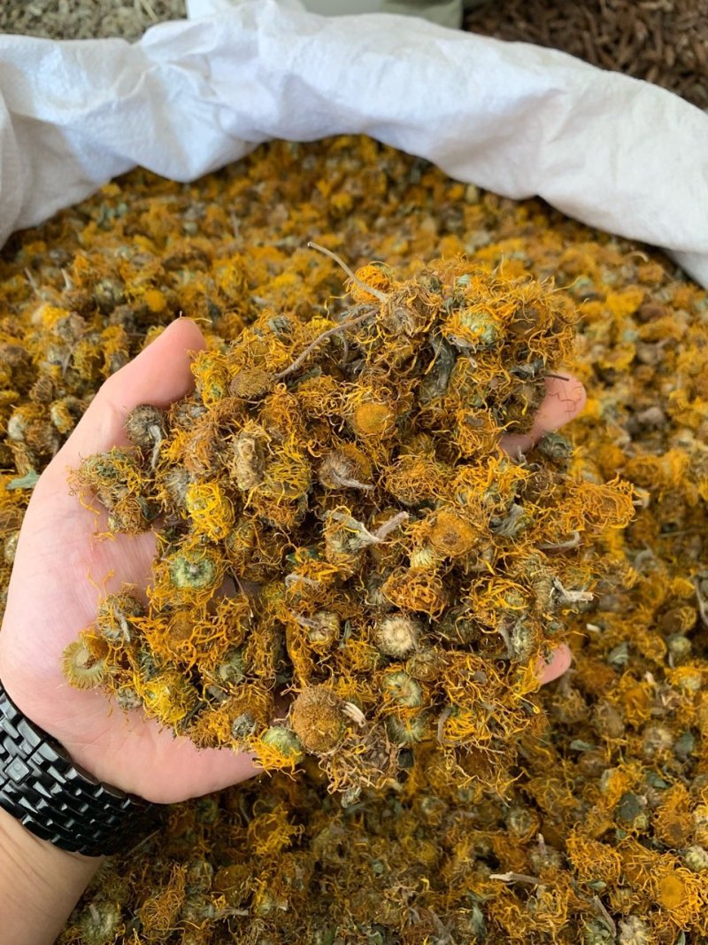 旋复花旋覆花中药材批发产地直销