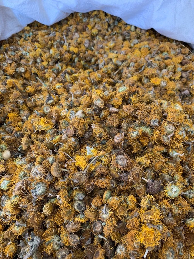 旋复花旋覆花中药材批发产地直销