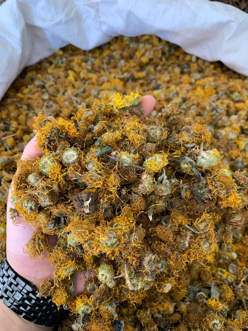 旋复花旋覆花中药材批发产地直销