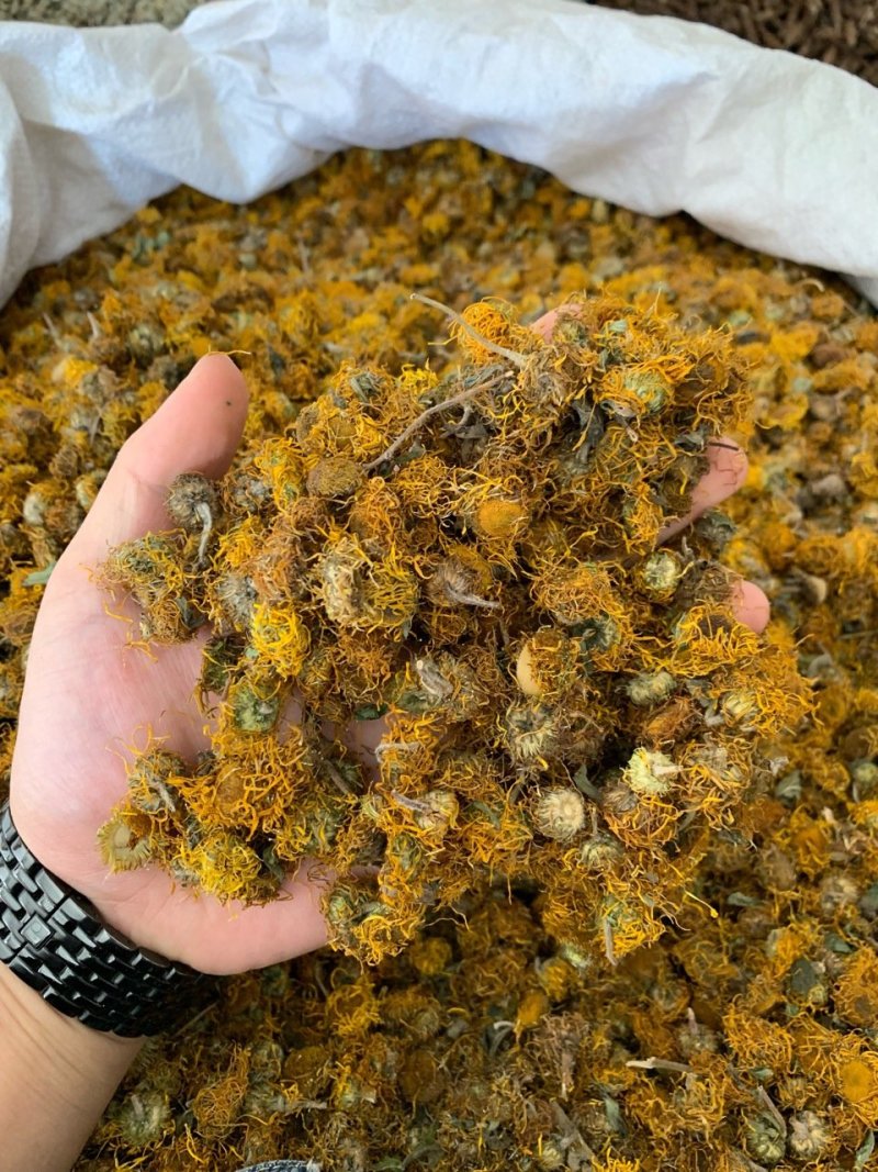 旋复花旋覆花中药材批发产地直销