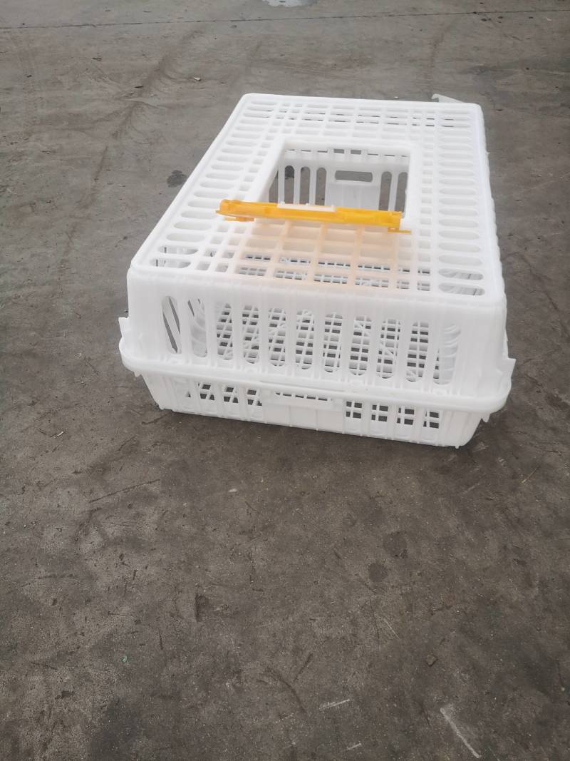 鸡鸭转运笼周转笼加厚加固原包料厂家直销量大从优