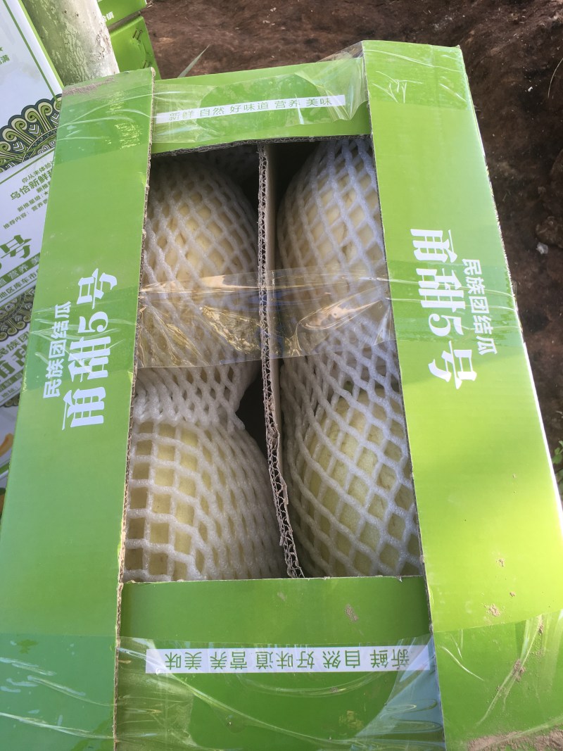 推荐新疆甬甜五号蜜瓜，支持一件代发，品质有保障欢迎采购