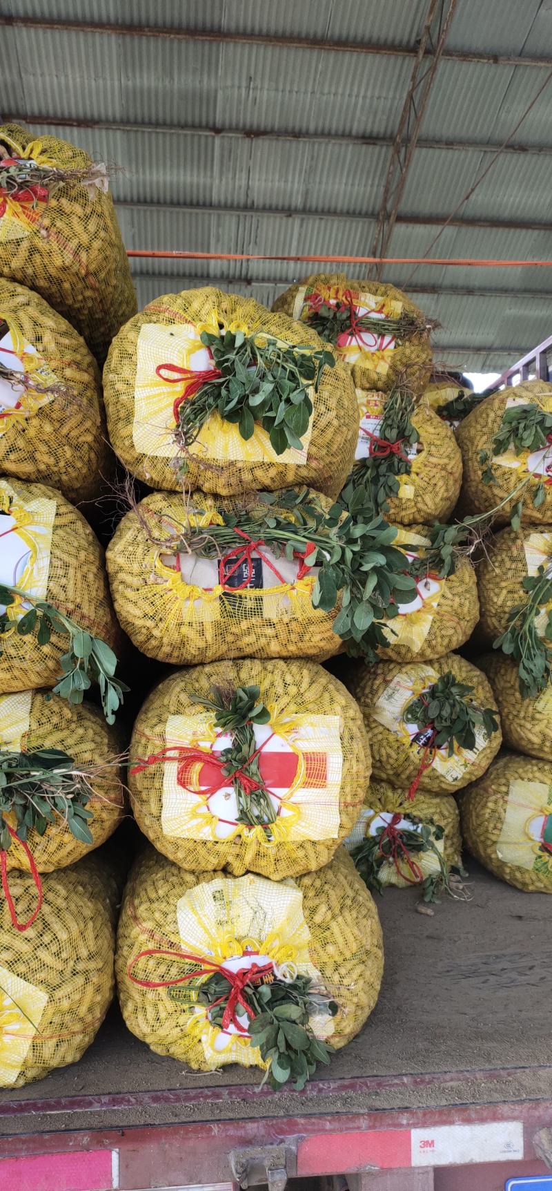 精品鲜花生，白沙花生颗粒饱满，电商市场超市里加工厂大量