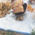 山东潍坊中油潘7黄油潘上市，口感甜，实力代办代收诚信合作