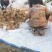 山东潍坊中油潘7黄油潘上市，口感甜，实力代办代收诚信合作