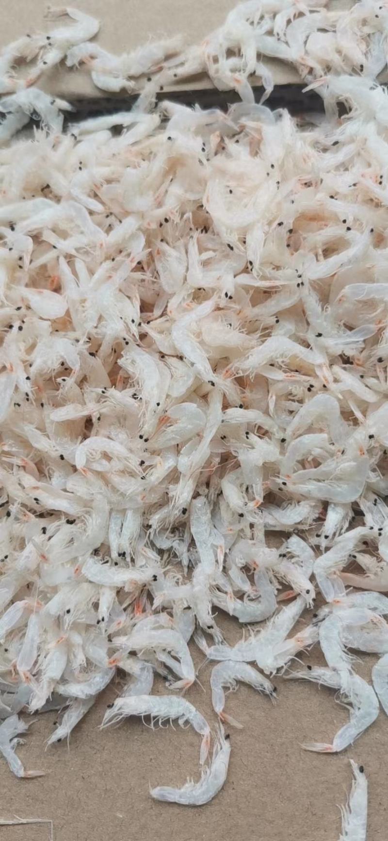 虾皮，淡干虾皮，流水线虾皮，鲜咸淡干多种规格