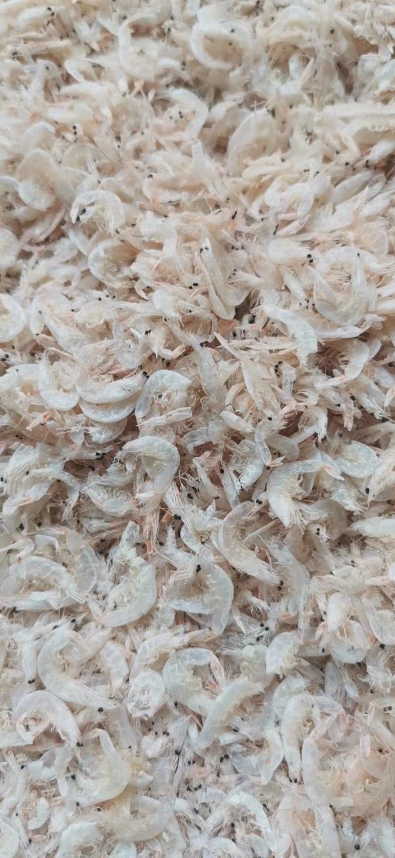 虾皮，淡干虾皮，流水线虾皮，鲜咸淡干多种规格