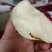 彩虹梨七彩梨红早酥梨梨光果彩虹梨光果七彩梨