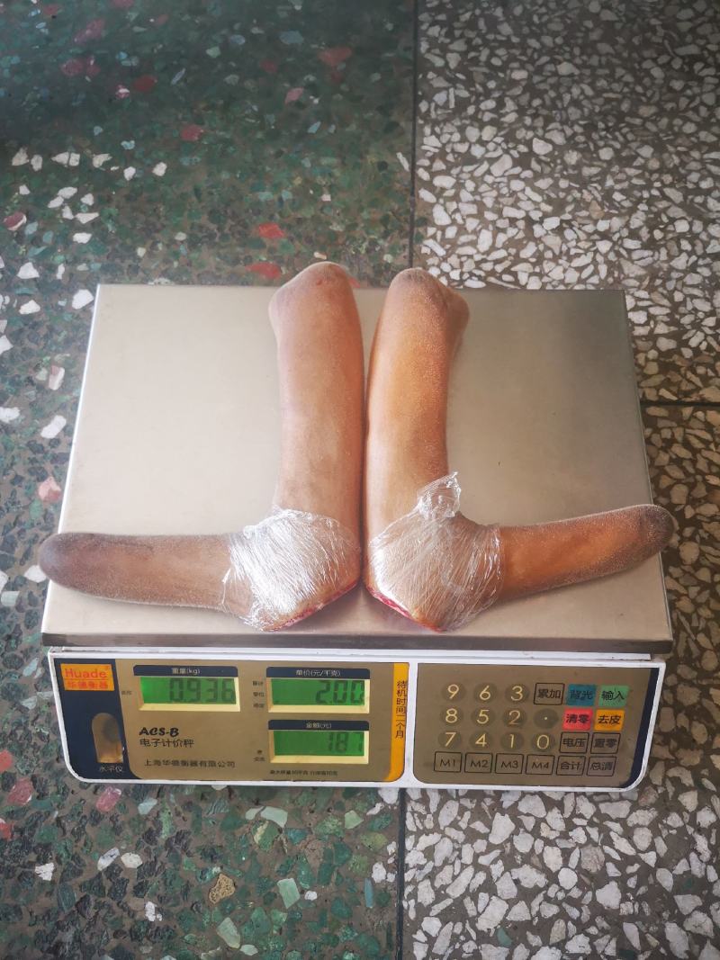 【推荐】精品梅花鲜鹿茸整支鲜切一手货源欢迎采购加