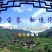 正宗野生杨梅（杨梅酒）