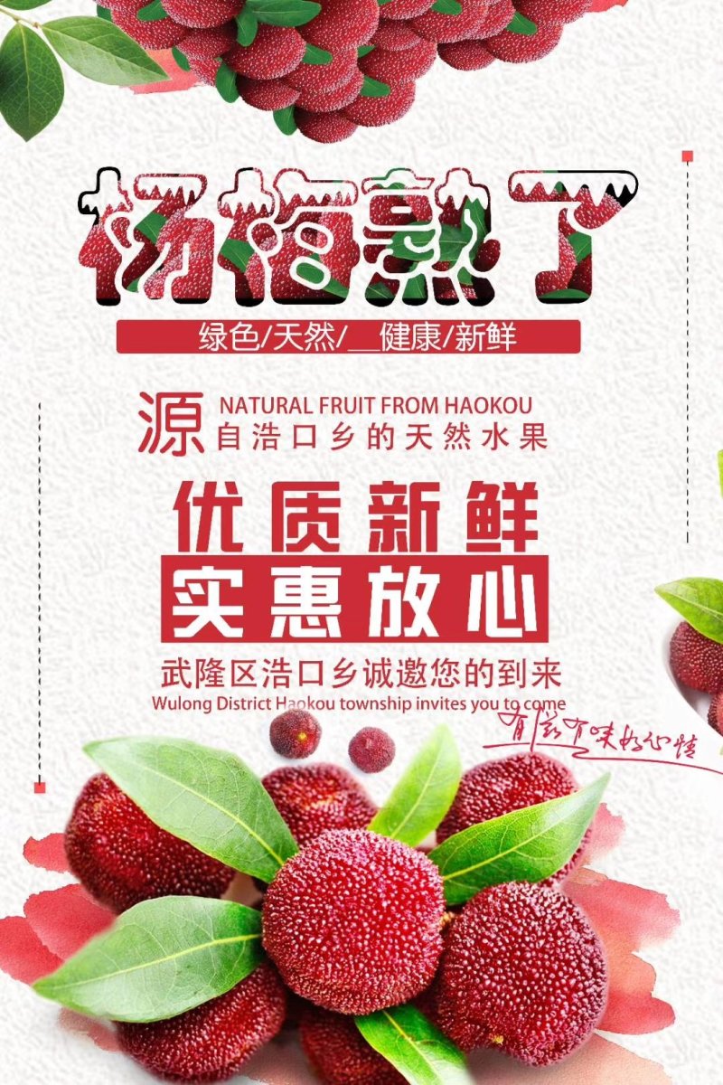 正宗野生杨梅（杨梅酒）