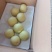 黄冠梨。套袋白色黄冠梨大量上市中，口干好，皮薄汁多。