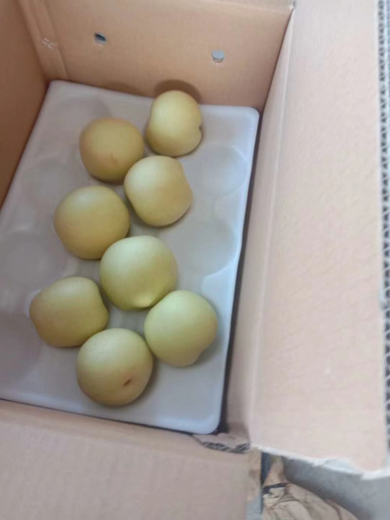 黄冠梨。套袋白色黄冠梨大量上市中，口干好，皮薄汁多。