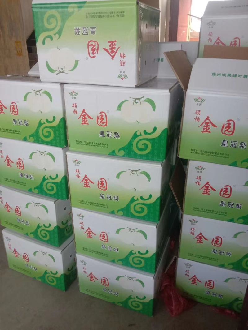 黄冠梨。套袋白色黄冠梨大量上市中，口干好，皮薄汁多。