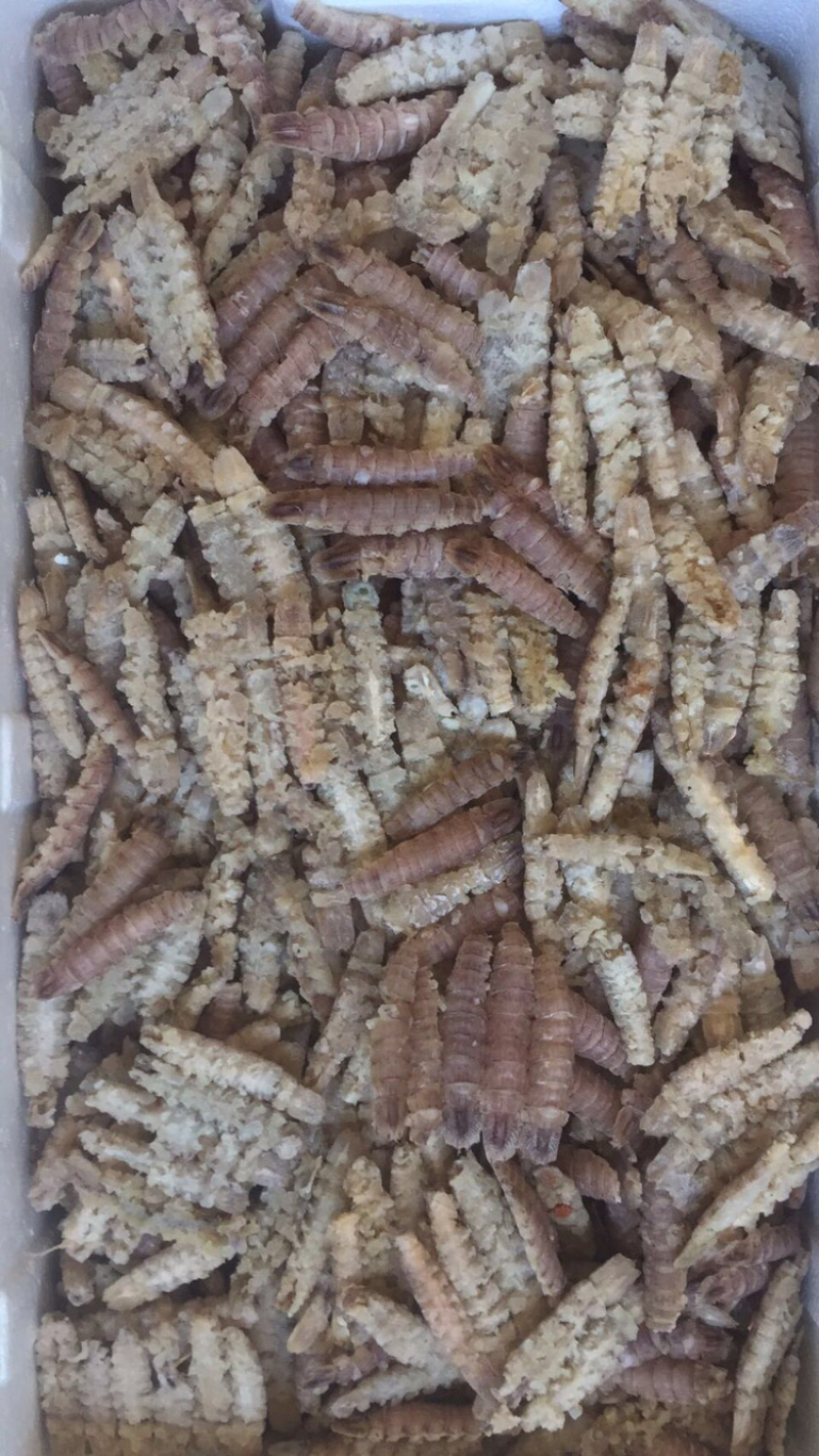 专业皮皮虾肉厂家，多款包装规格