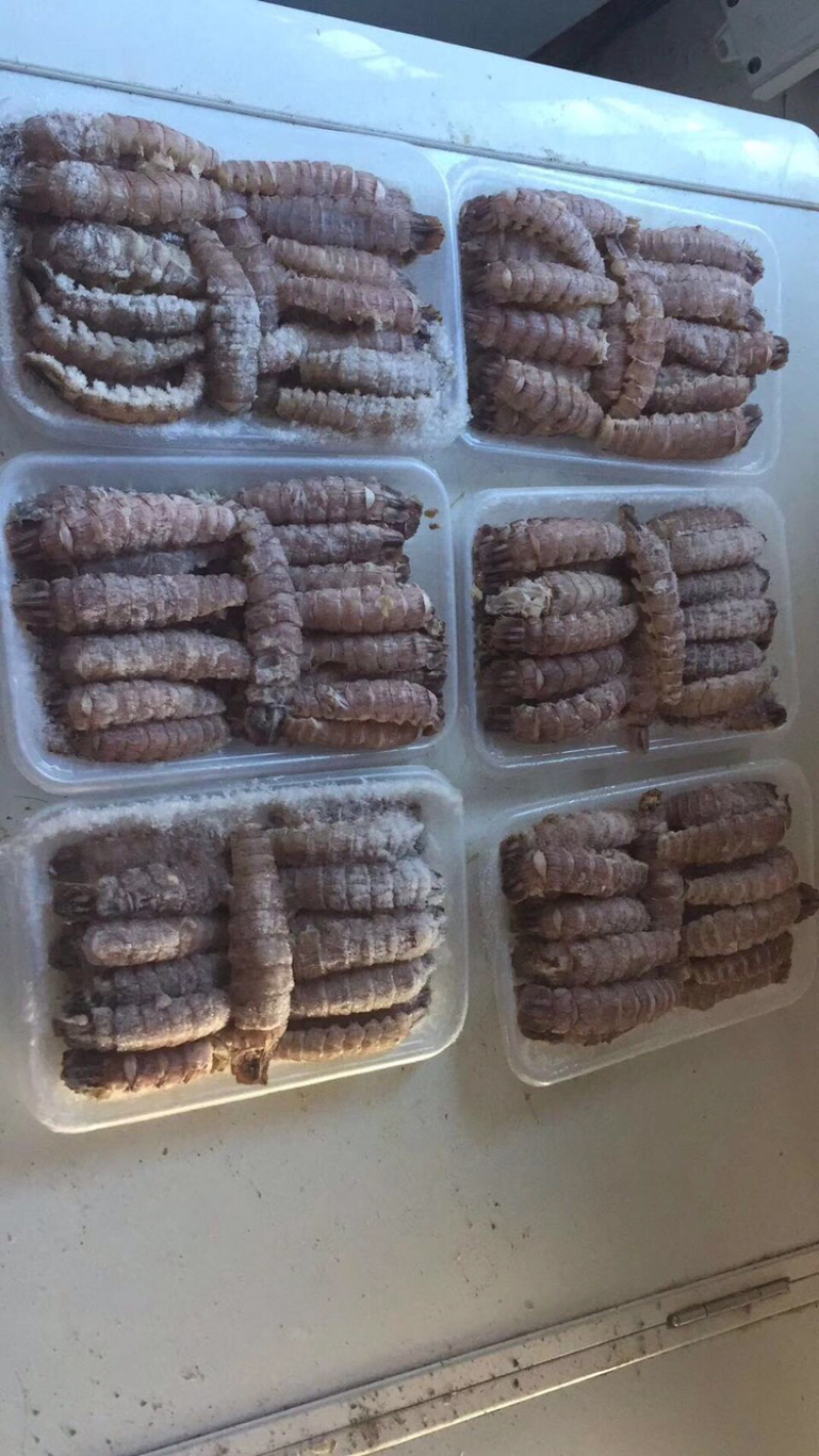 专业皮皮虾肉厂家，多款包装规格
