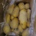 荷兰十五土豆