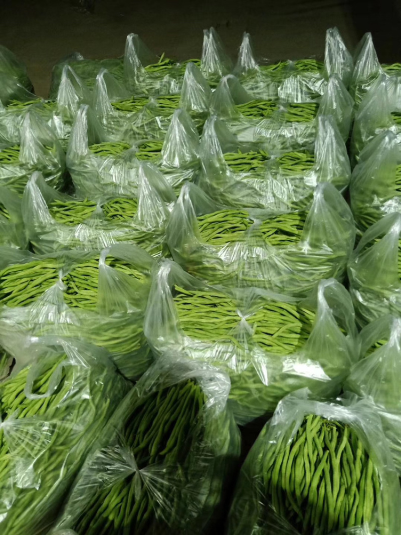 精品豆王，无丝豆，架豆王，无筋豆大量上市，新货上市，