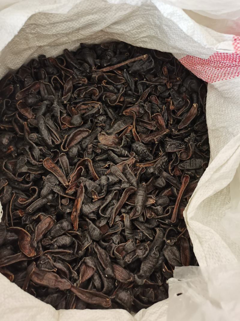 水蛭蚂蟥包邮水蛭清水吊干水蛭干各种规格等