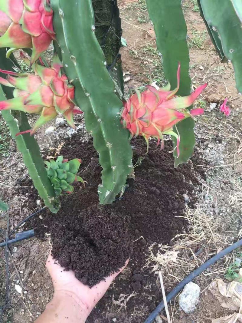 水果专用有机肥生物菌发酵猪粪鸡粪烟梗油枯改良土壤减少病害