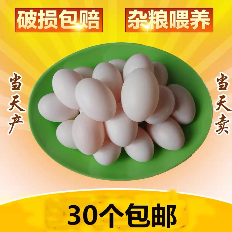 鸽子蛋