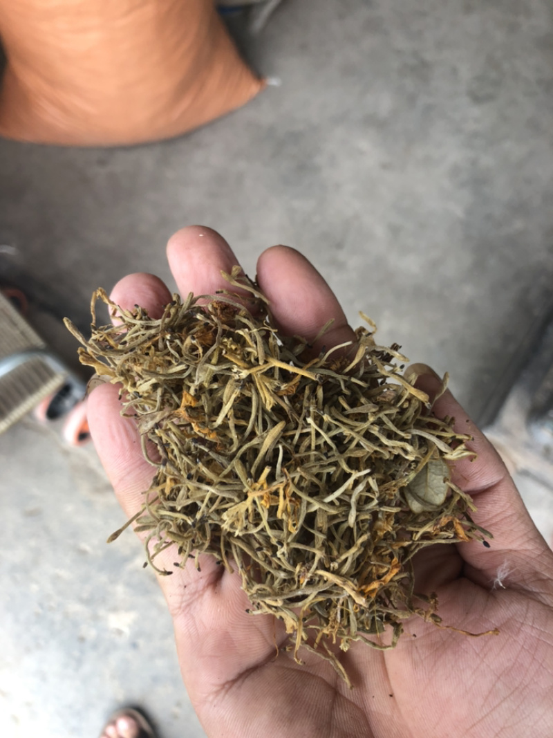 金银花2023年新货少量现货